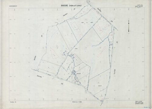 Section ZS