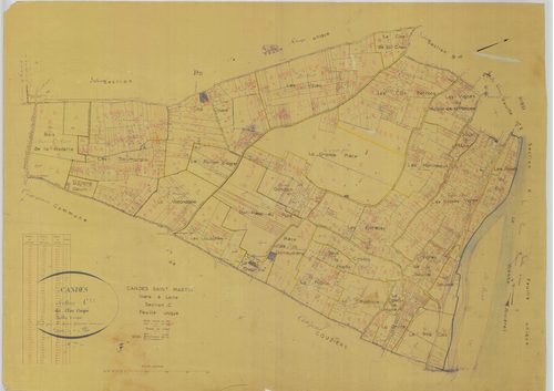 Section C