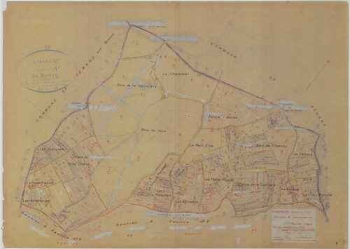 Section A
