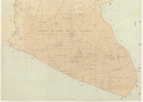 Section D1 de la Gaudinière (plan en deux parties)