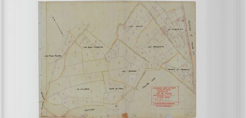 Section D, planche 17