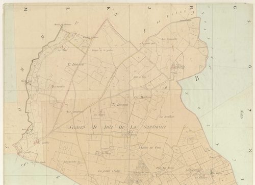 Section D1 de la Gaudinière (plan en deux parties)