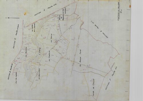 Section D, feuille 1a