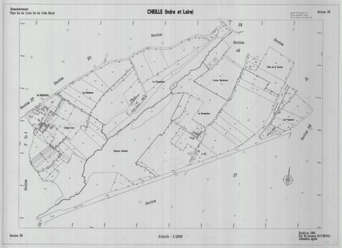 Section ZS