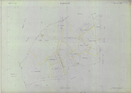 Section AP