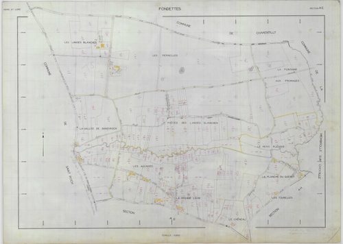 Section AE
