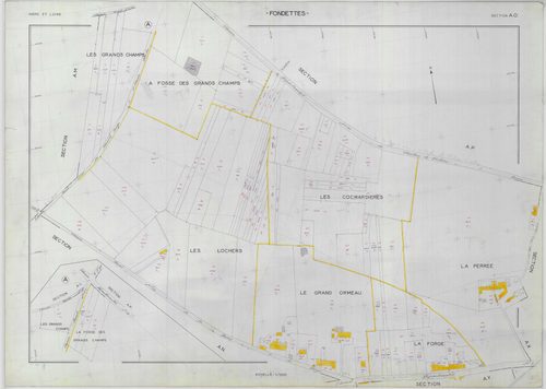 Section AO