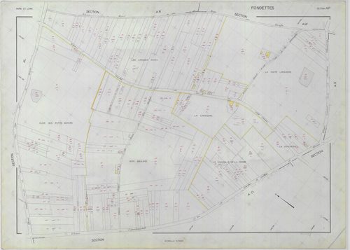 Section AP