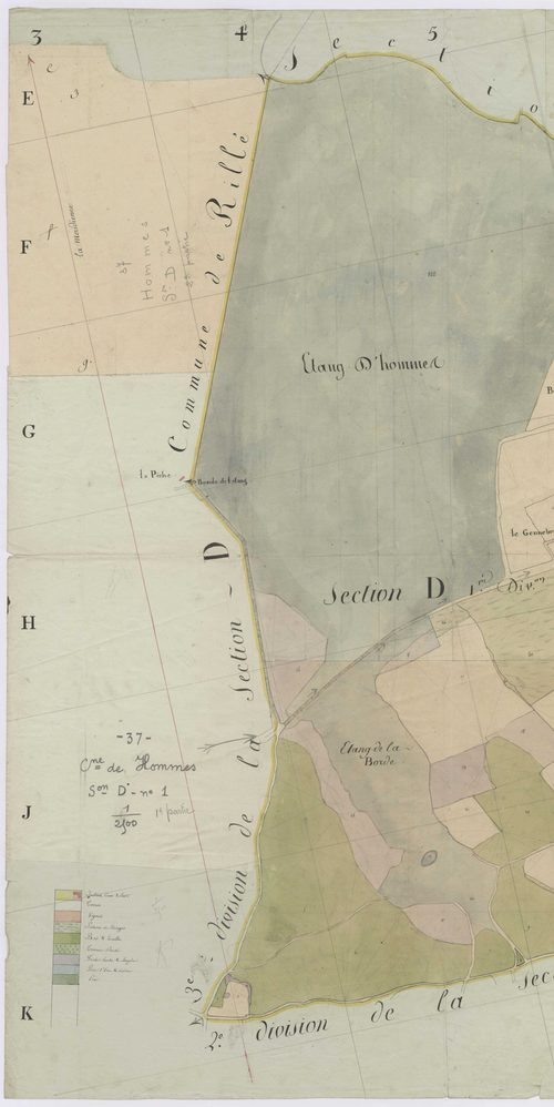 Section D1, première partie