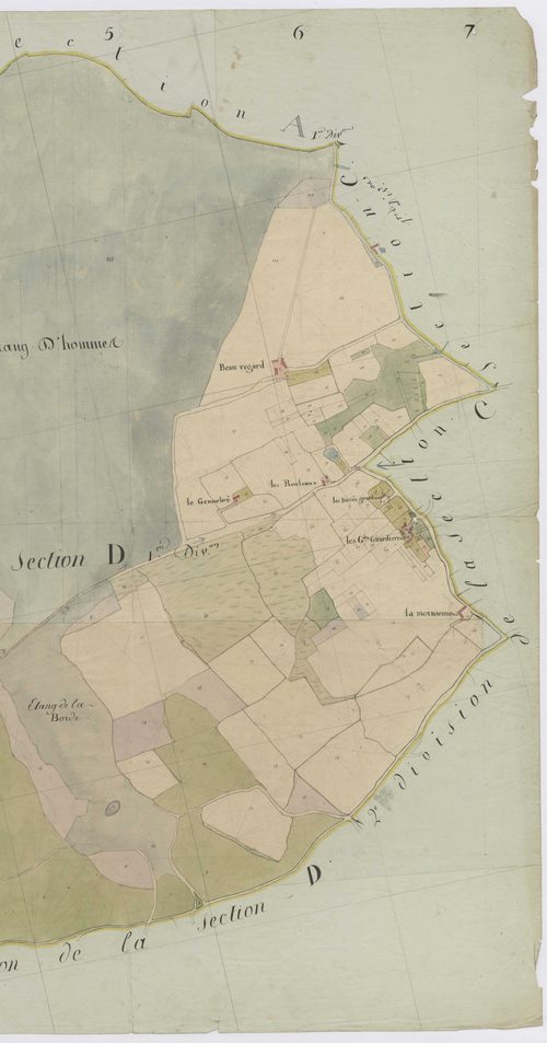 Section D1, deuxième partie