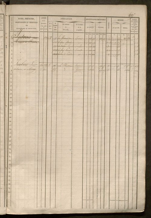 Matrice des propriétés foncières, fol. 601 à 1200.
