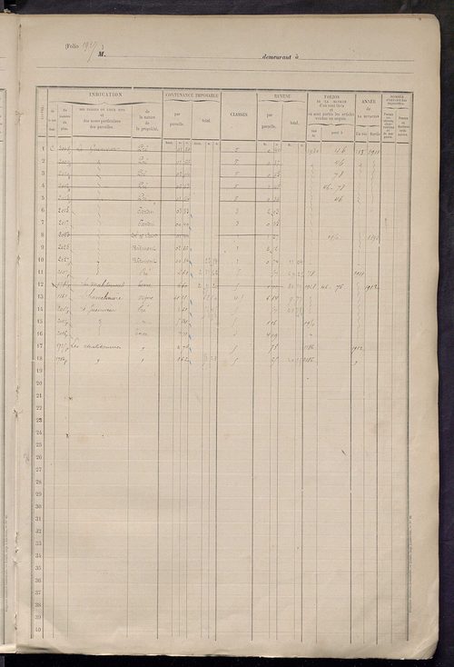 Matrice des propriétés foncières, fol. 1919 à 2318.