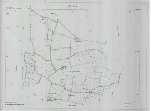 Section ZS
