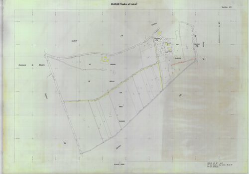 Section ZX