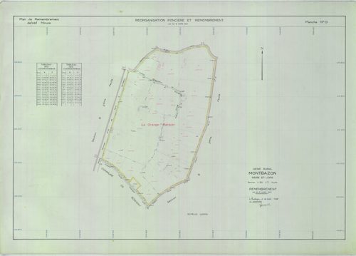 Section Y