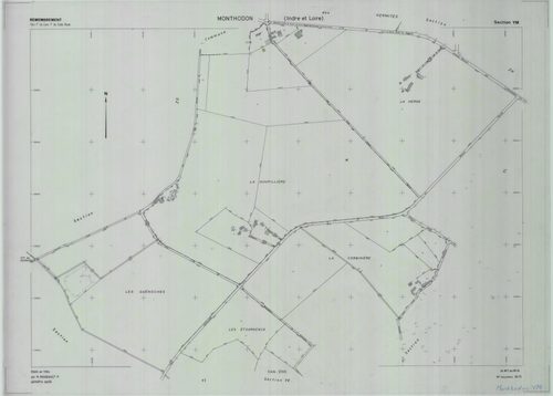 Section YM