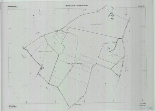 Section ZS