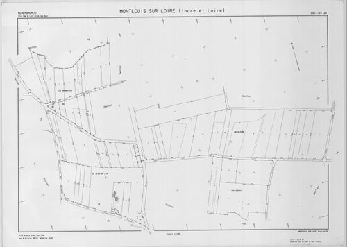 Section ZX