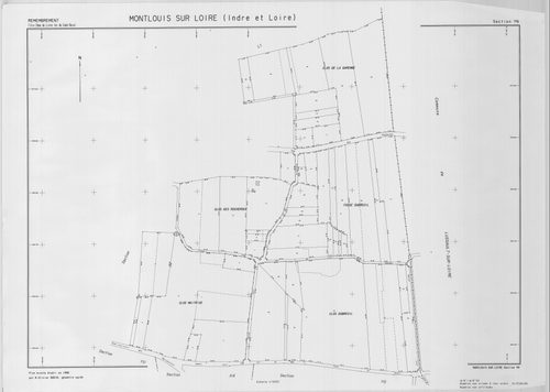 Section YN