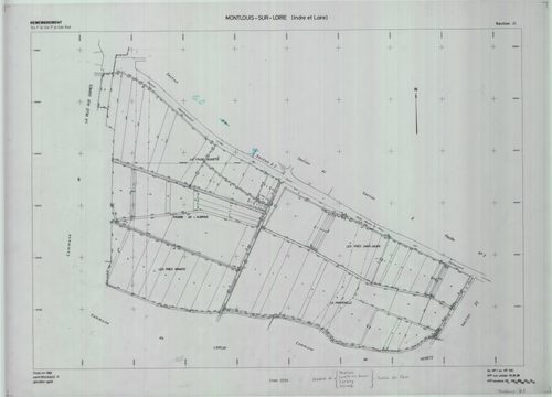 Section ZI