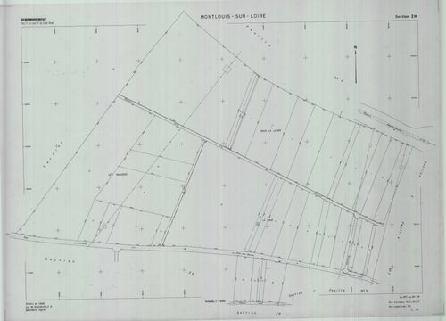 Section ZM