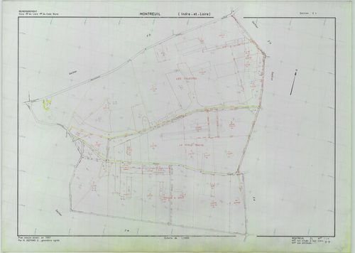 Section ZL