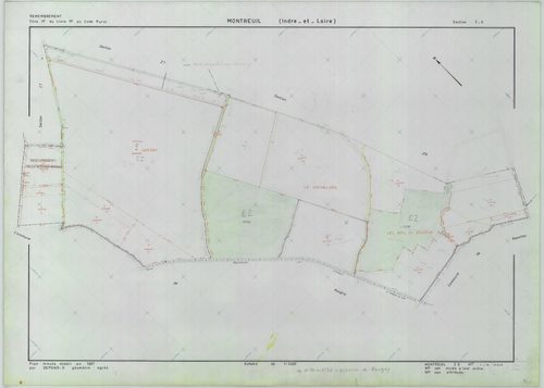 Section ZS