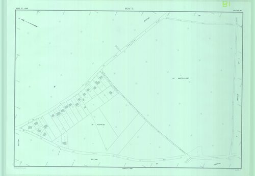 Section BI
