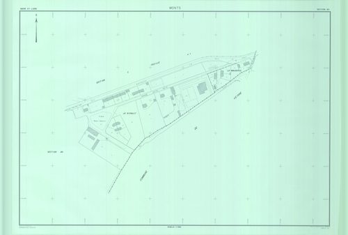 Section AO