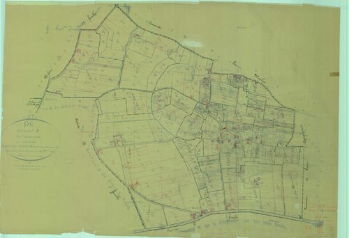 Section B