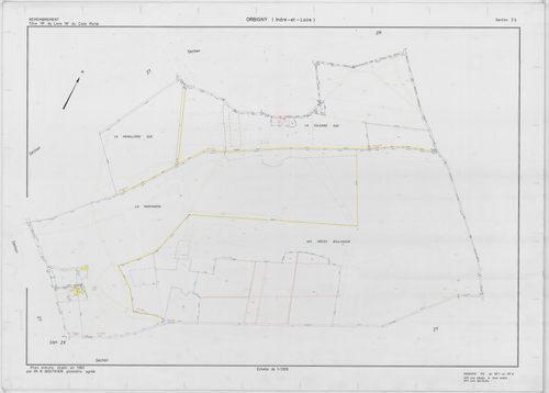 Section ZS