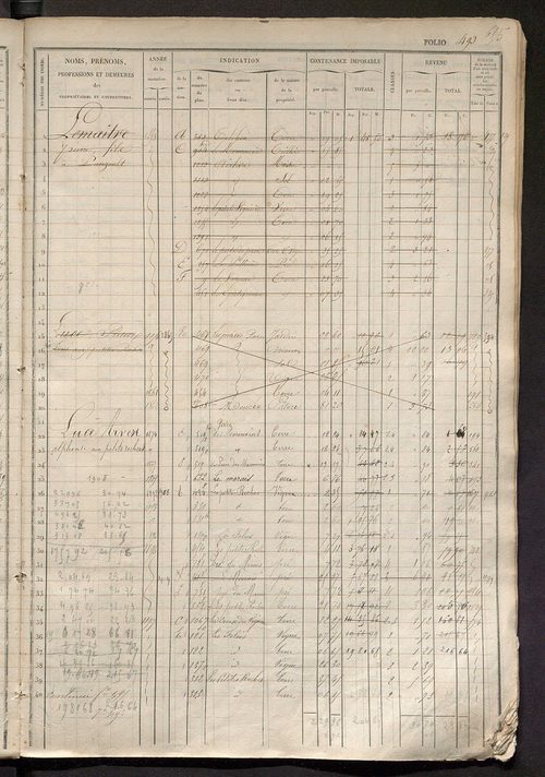 Matrice des propriétés foncières, fol. 481 à 960.