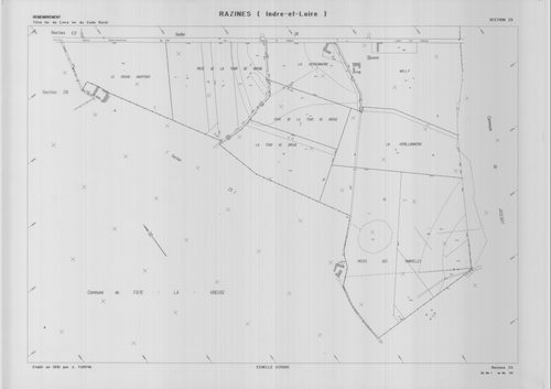 Section ZS