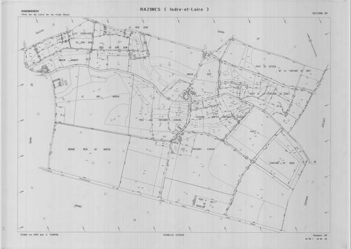 Section ZR