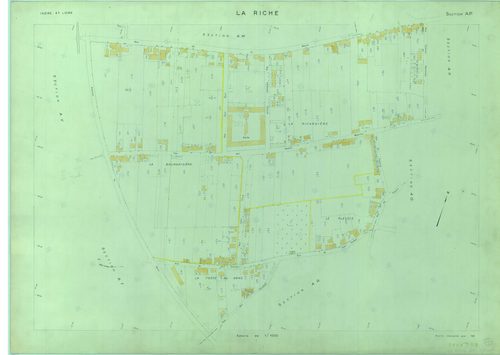 Section AP