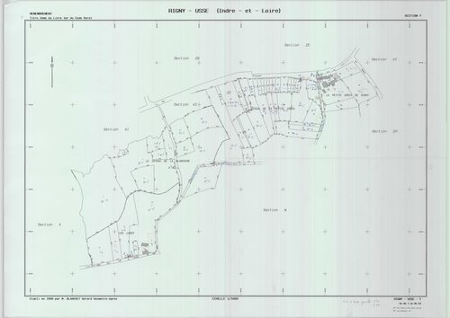 Section Y