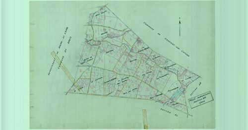 Section AM, feuille 1b