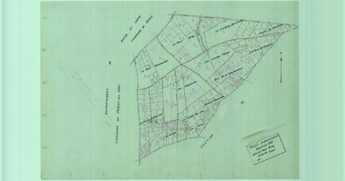Section AM, feuille 1a