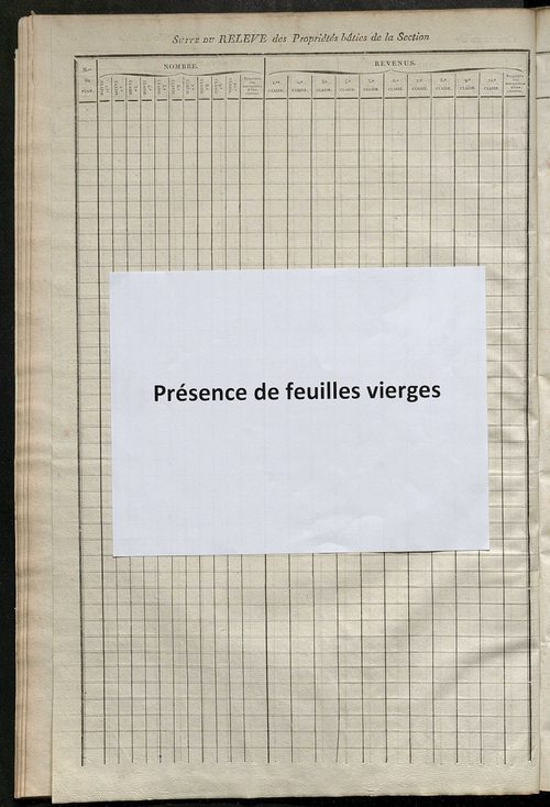 Relevé des numéros de propriétés non bâties de même nature ; relevé des propriétés bâties ; récapitulation de la contenance et du revenu imposables des propriétés.