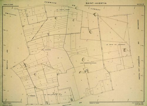 Copies sur papier de plans de conservation (éditions lacunaires dans la collection des minutes de conservation). - Sections AI, AP et AR : éd. 1972. Section AB : éd. 1973. Sections AD, AL, AM et AS : éd. 1978. (8 f.).
