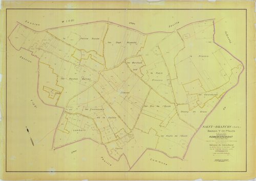 Section V