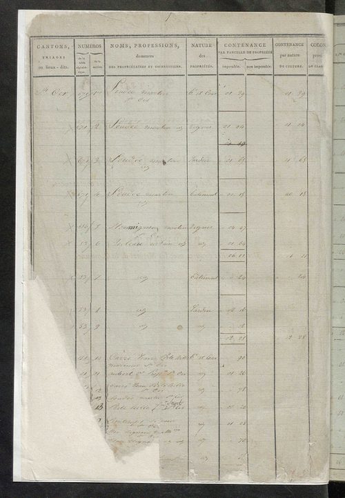 Etats de sections ; relevé des numéros de même nature de culture ; classement parcellaire et évaluation des revenus imposables des propriétés bâties, avec le nombre des portes et fenêtres.