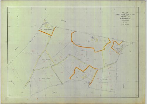 Section YN