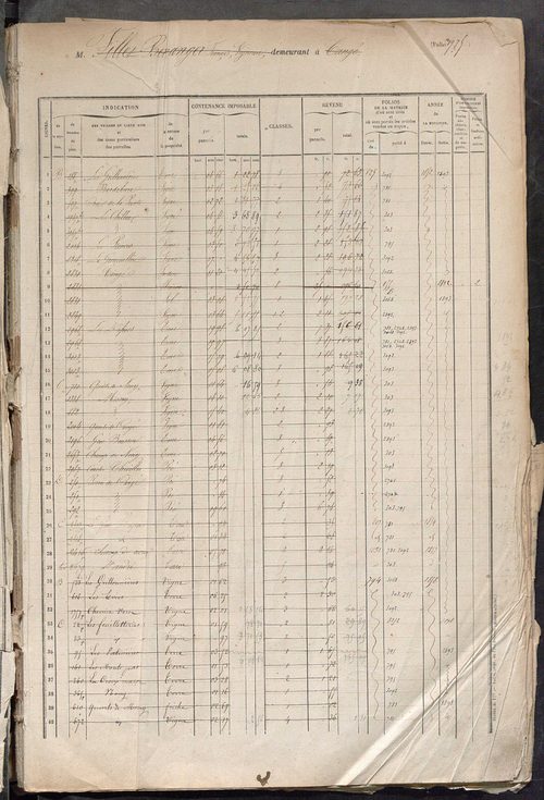 Matrice des propriétés foncières, fol. 1973 à 2372.