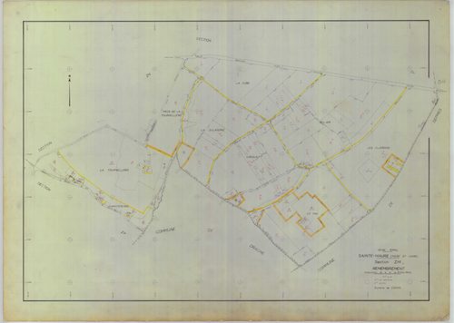 Section ZM