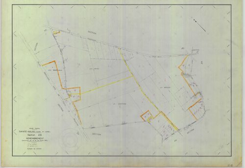 Section ZS