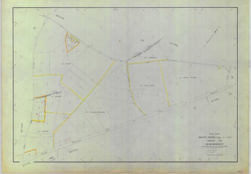 Section ZD