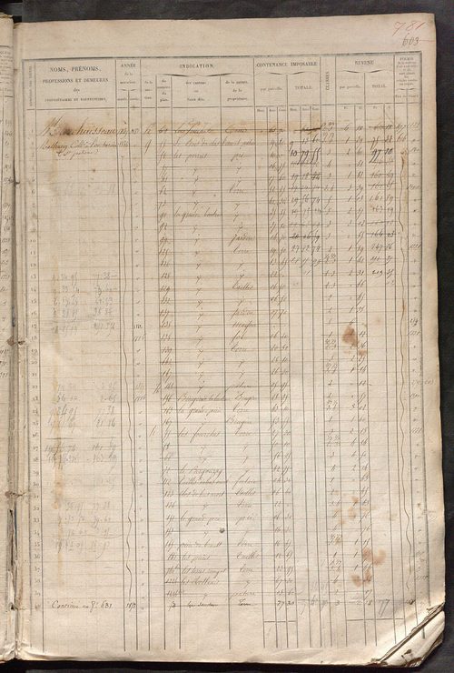 Matrice des propriétés foncières, fol. 601 à 1200.