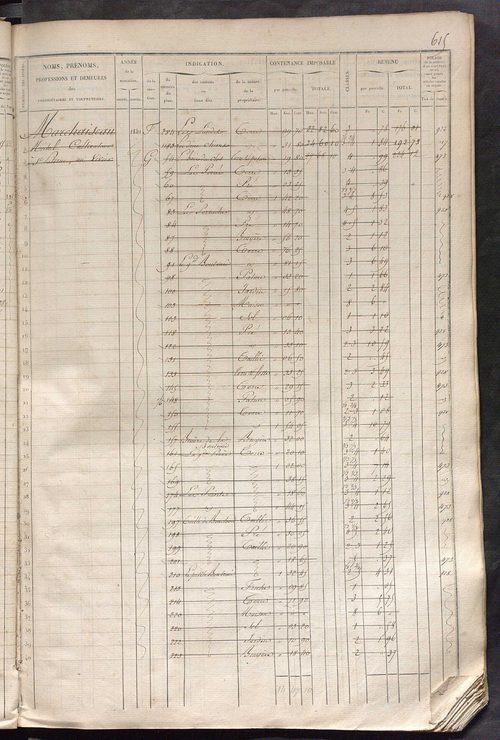 Matrice des propriétés foncières, fol. 601 à 1200.