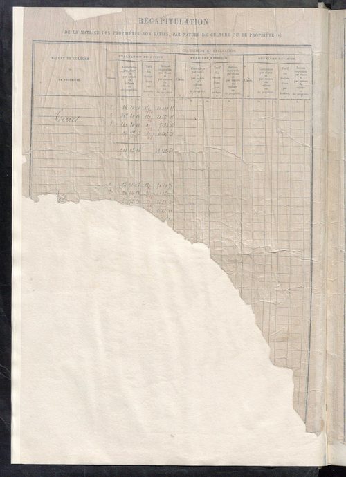 Matrice des propriétés non bâties : tableau présentant les augmentations et les diminutions survenues dans la matière imposable ; récapitulation ; table alphabétique des propriétaires.